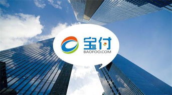 寶付支付 深耕通信電商領(lǐng)域，攜手行業(yè)巨頭共繪新藍圖